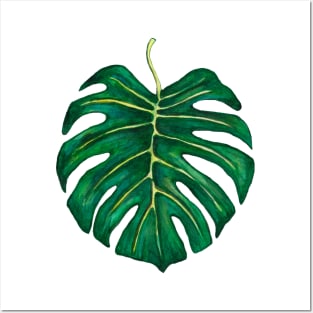 Big monstera leaf Posters and Art